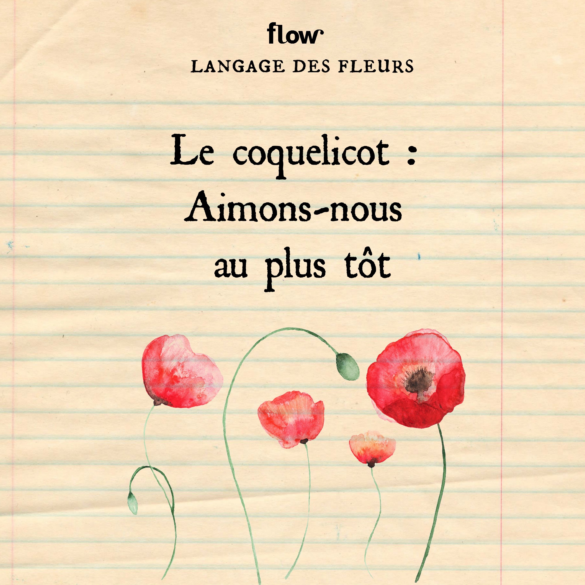flow fleurs coquelicot