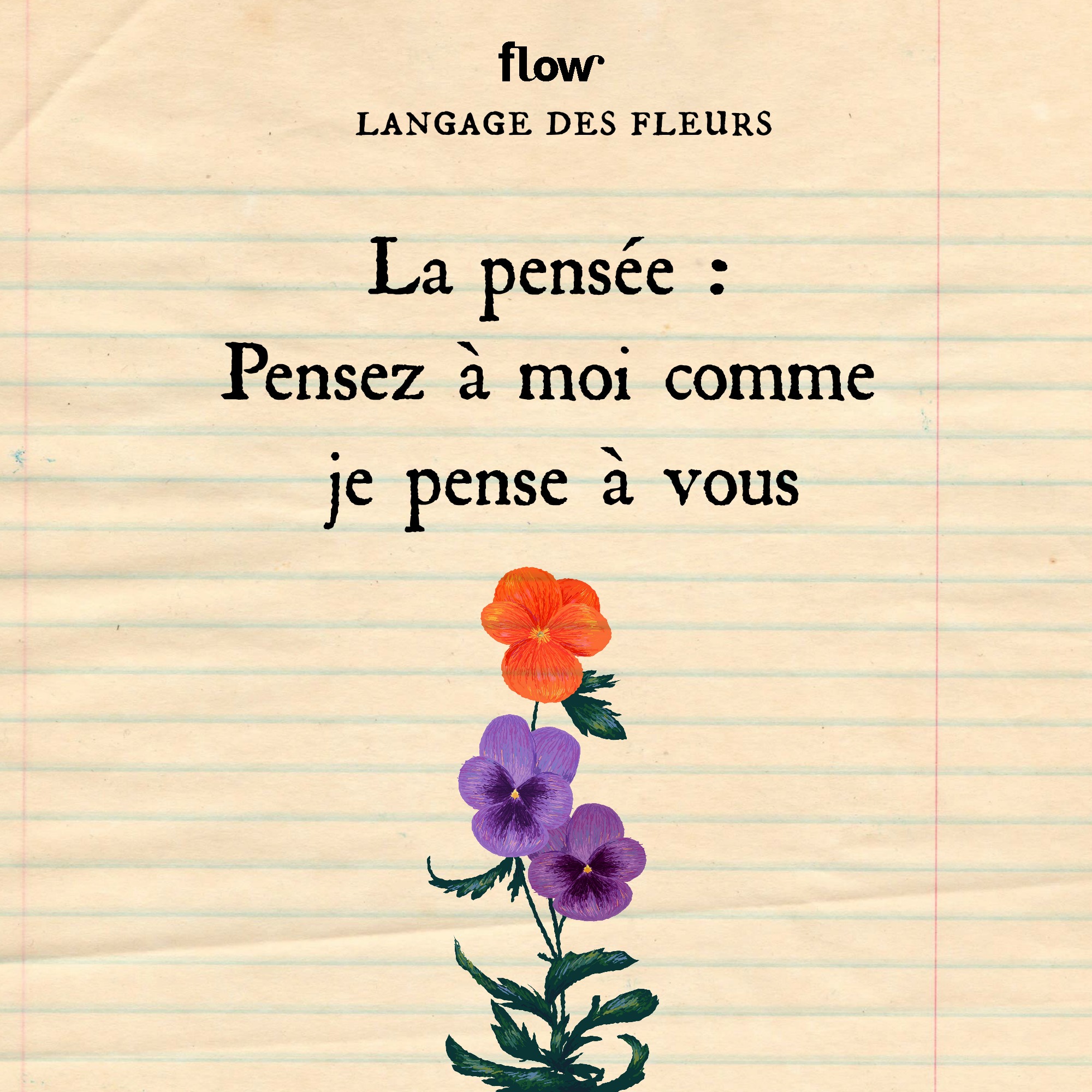 flow fleurs pensee