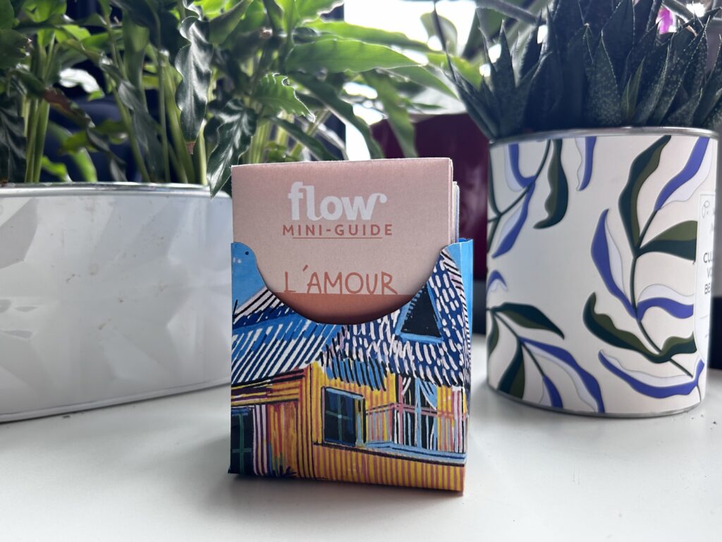 DIY boîte mini-zines Flow